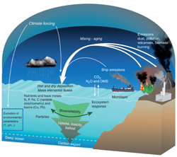 Surface Ocean-Lower Atmosphere Study