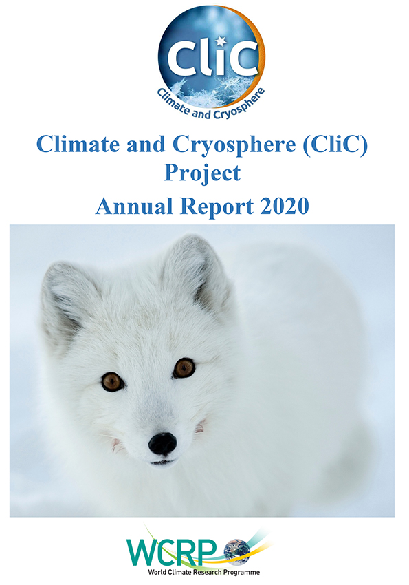 CliC Annual Report 2020